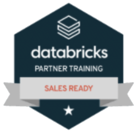 Databricks Sales Partner badge.