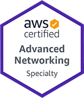 AWS Certified Advanced Networking Specialty icon.